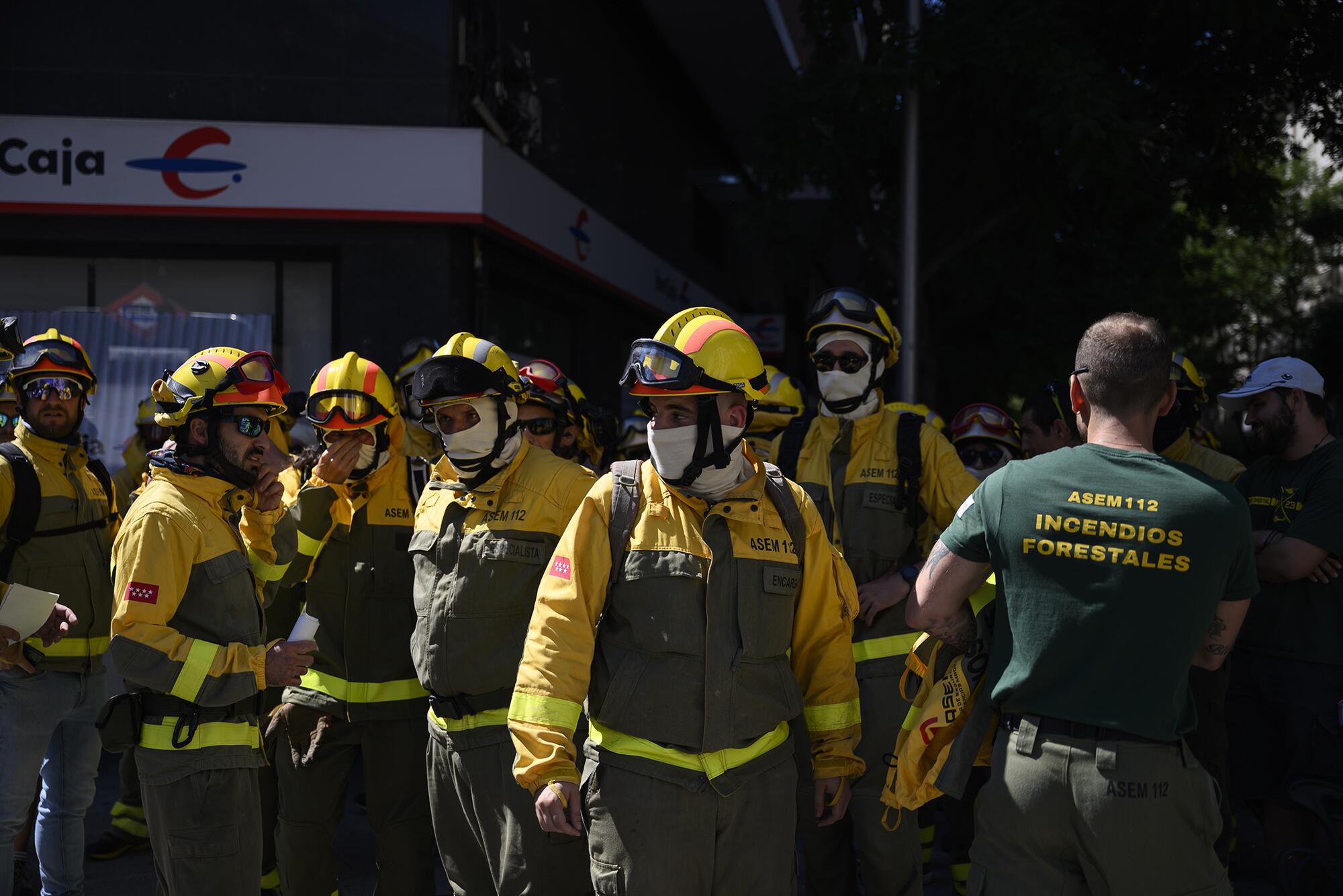 Forestales Tragsa - 1